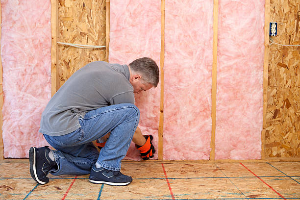 Best Types of Insulation in , OH